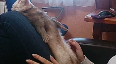 Забавни факти за поровете